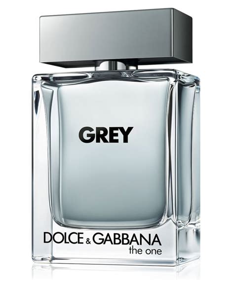 grey dolce gabbana